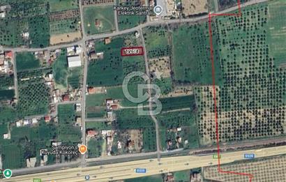 Aydın Efeler Pınardere Mah. Fırsat Satılık 1050 m² Bağ & Bahçe