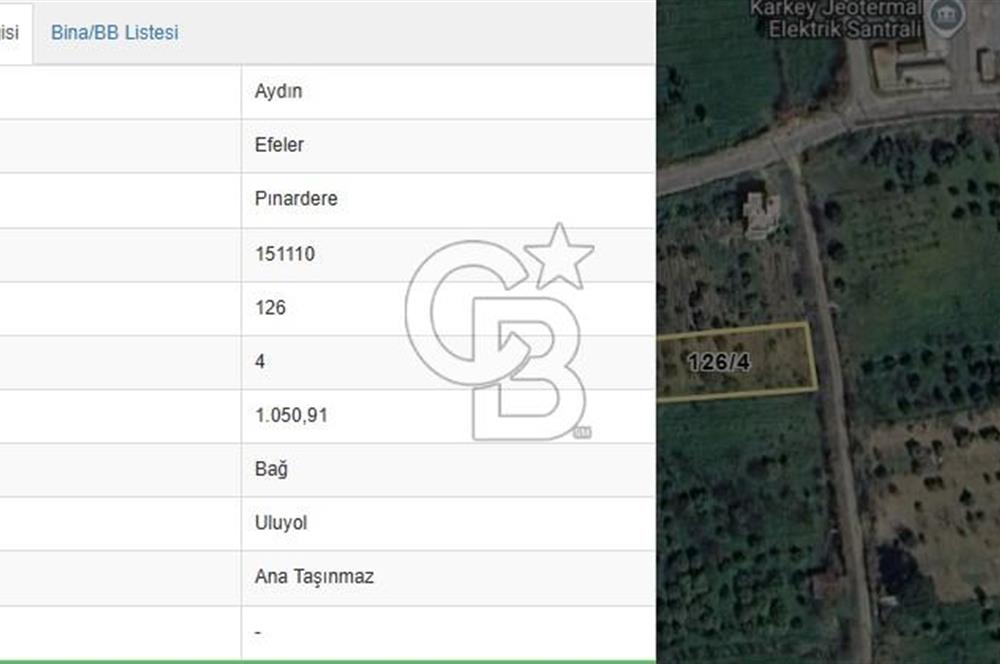 Aydın Efeler Pınardere Mah. Fırsat Satılık 1050 m² Bağ & Bahçe