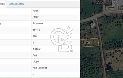 Aydın Efeler Pınardere Mah. Fırsat Satılık 1050 m² Bağ & Bahçe