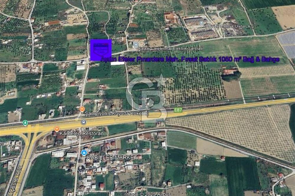 Aydın Efeler Pınardere Mah. Fırsat Satılık 1050 m² Bağ & Bahçe