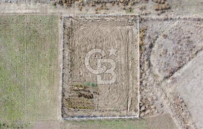 CB KiNG'DEN PAŞAALANINDA 836 M2 4 KAT İMARLI SATILIK ARSA