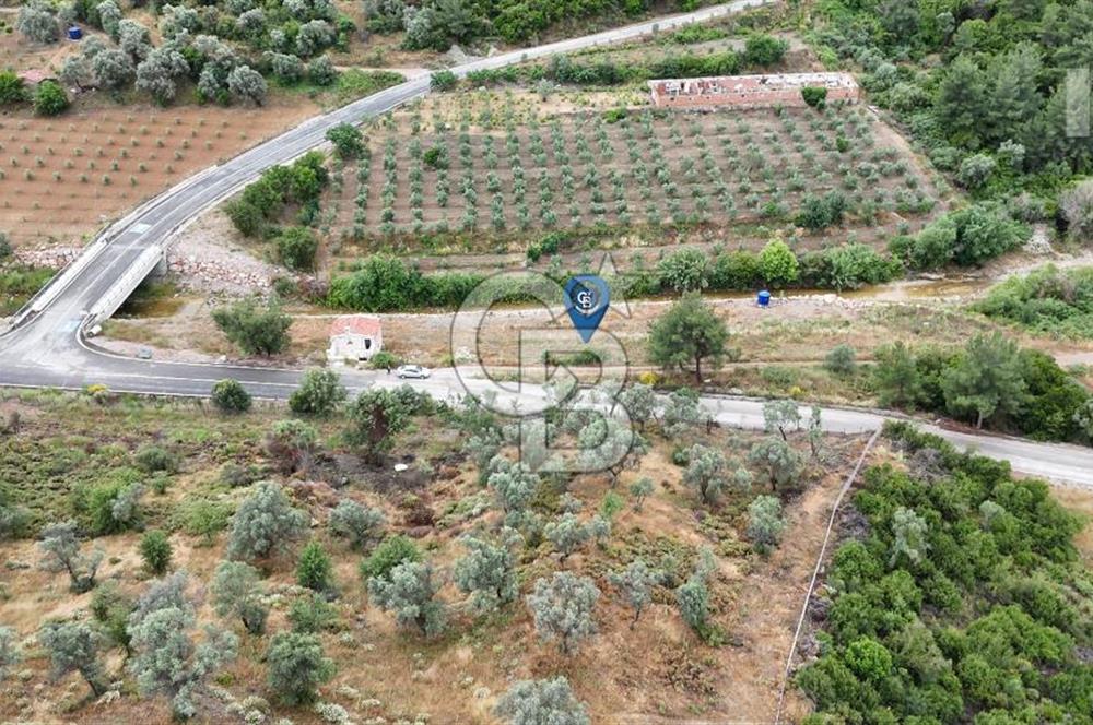 SEFERİHİSAR KAVAKDERE'DE 1780 M² YOLA CEPHELİ TARLA VE TAŞ VİLLA