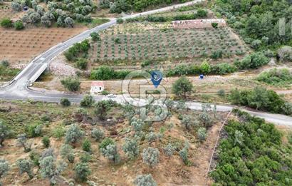 SEFERİHİSAR KAVAKDERE'DE 1780 M² YOLA CEPHELİ TARLA VE TAŞ VİLLA