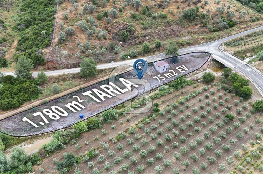 SEFERİHİSAR KAVAKDERE'DE 1780 M² YOLA CEPHELİ TARLA VE TAŞ VİLLA