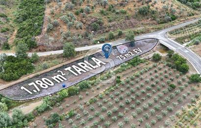 SEFERİHİSAR KAVAKDERE'DE 1780 M² YOLA CEPHELİ TARLA VE TAŞ VİLLA