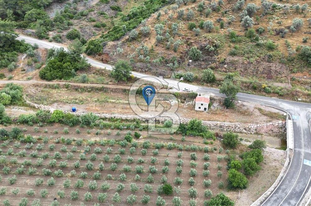 SEFERİHİSAR KAVAKDERE'DE 1780 M² YOLA CEPHELİ TARLA VE TAŞ VİLLA