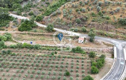 SEFERİHİSAR KAVAKDERE'DE 1780 M² YOLA CEPHELİ TARLA VE TAŞ VİLLA