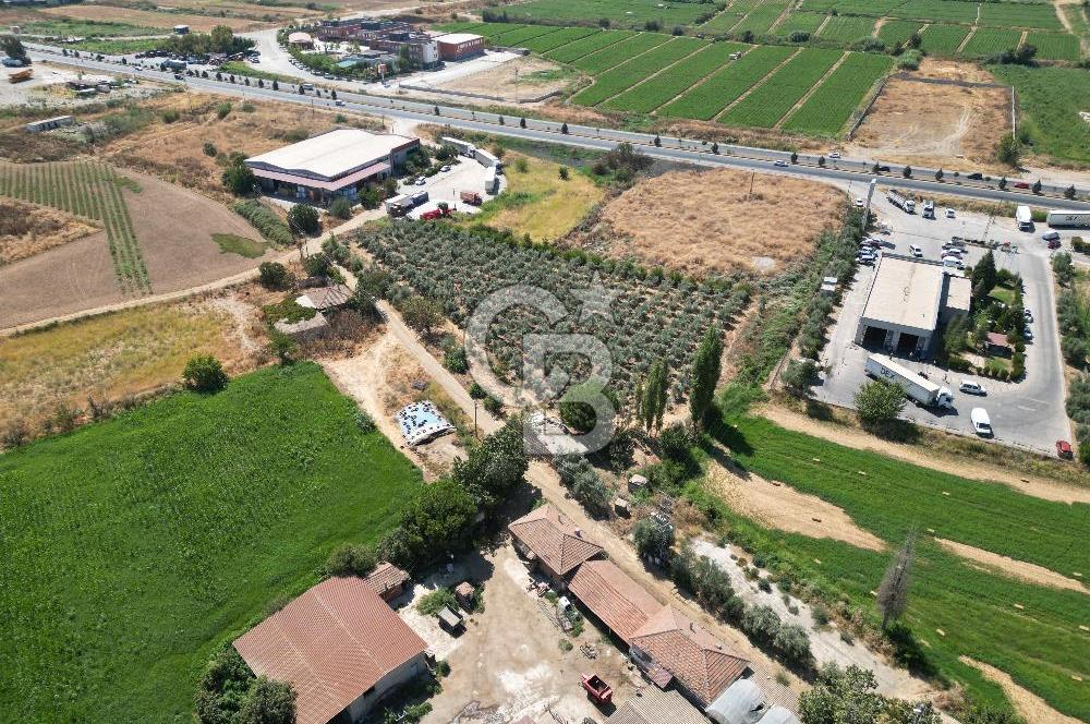 Manisa Salihli Caferbey Satılık Sanayi Arsası