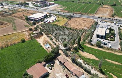 Manisa Salihli Caferbey Satılık Sanayi Arsası