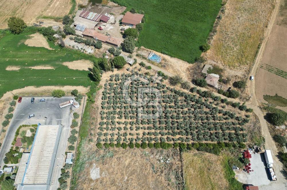 Manisa Salihli Caferbey Satılık Sanayi Arsası