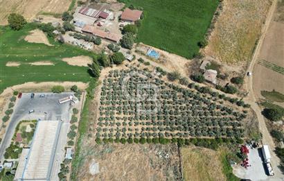 Manisa Salihli Caferbey Satılık Sanayi Arsası