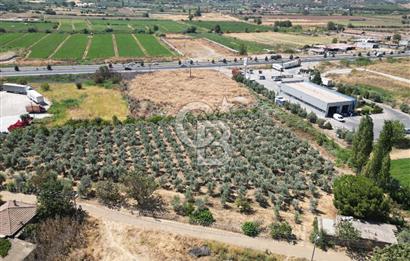 Manisa Salihli Caferbey Satılık Sanayi Arsası