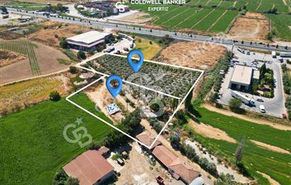 Manisa Salihli Caferbey Satılık Sanayi Arsası