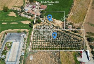 Manisa Salihli Caferbey Satılık Sanayi Arsası