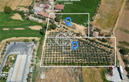 Manisa Salihli Caferbey Satılık Sanayi Arsası