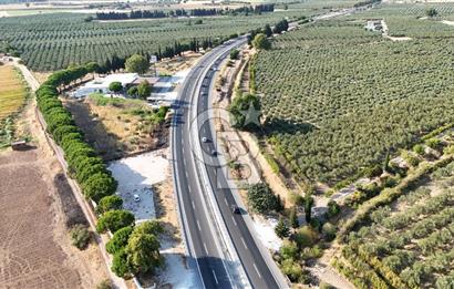 Yatırımcısına İzmir-Çanakkale Yolu Üzerinde Satılık Arazi