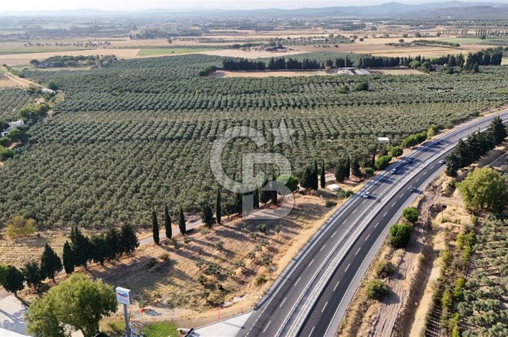 İzmir-Çanakkale Yolu Üzerinde Satılık 5430 M2 Arazi