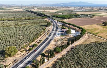İzmir-Çanakkale Yolu Üzerinde Satılık 5430 M2 Arazi