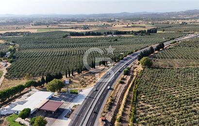 İzmir-Çanakkale Yolu Üzerinde Satılık 5430 M2 Arazi