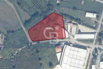 CB'MARSTAN SAKARYA AKYAZI'DA SANAYİ İMARLI ARSA