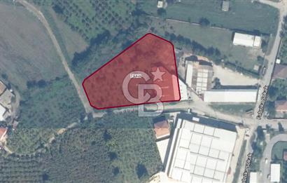 CB'MARSTAN SAKARYA AKYAZI'DA SANAYİ İMARLI ARSA