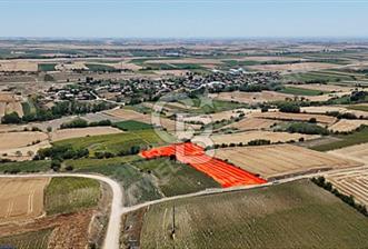 OSMANİYE KÖYÜNDE SATILIK 5756 M2 MÜSTAKİL TARLA TAKASA UYGUN