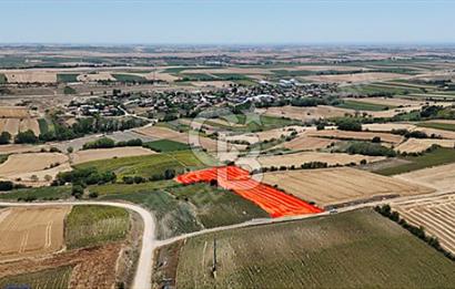 OSMANİYE KÖYÜNDE SATILIK 5756 M2 MÜSTAKİL TARLA TAKASA UYGUN