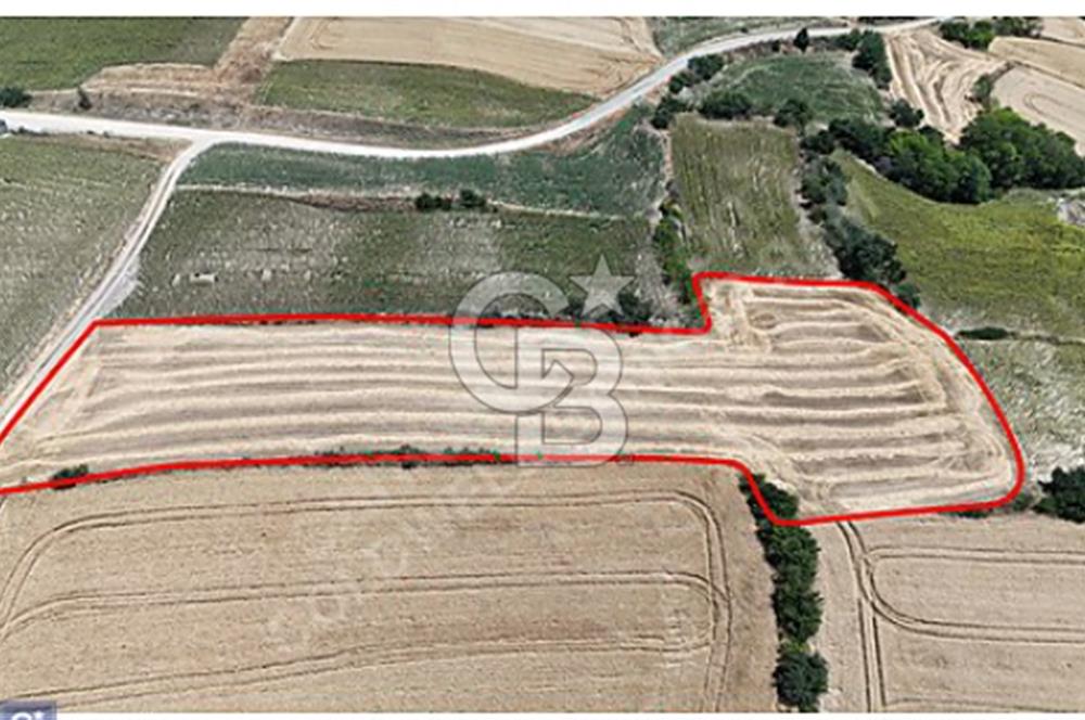 OSMANİYE KÖYÜNDE SATILIK 5756 M2 MÜSTAKİL TARLA TAKASA UYGUN