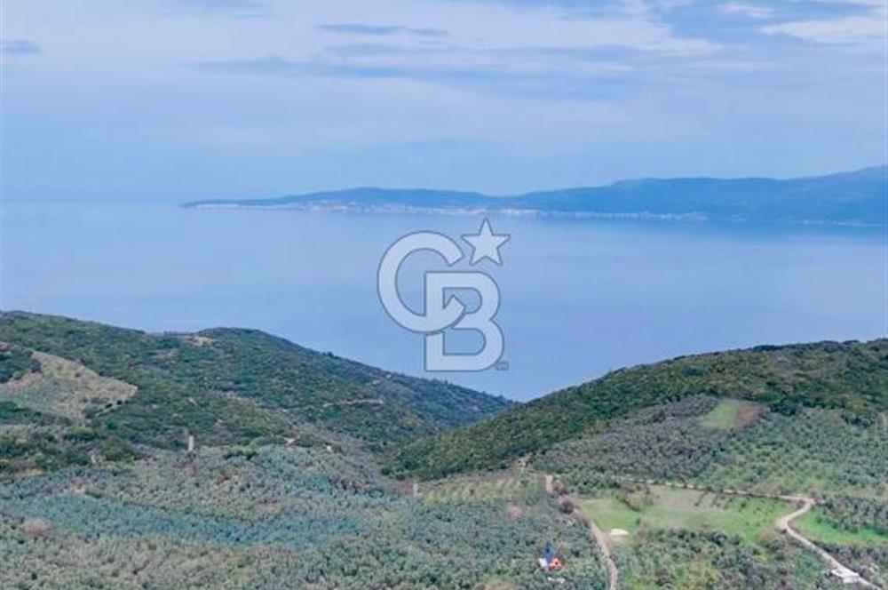 Mudanya Kumyaka'da Yola Cephe Arazi (Araç Takaslı)
