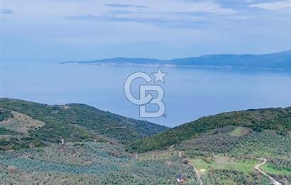 Mudanya Kumyaka'da Yola Cephe Arazi (Araç Takaslı)