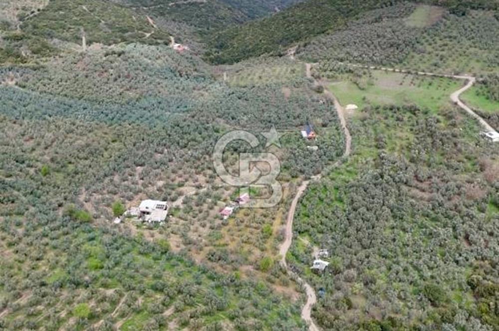 Mudanya Kumyaka'da Yola Cephe Arazi (Araç Takaslı)