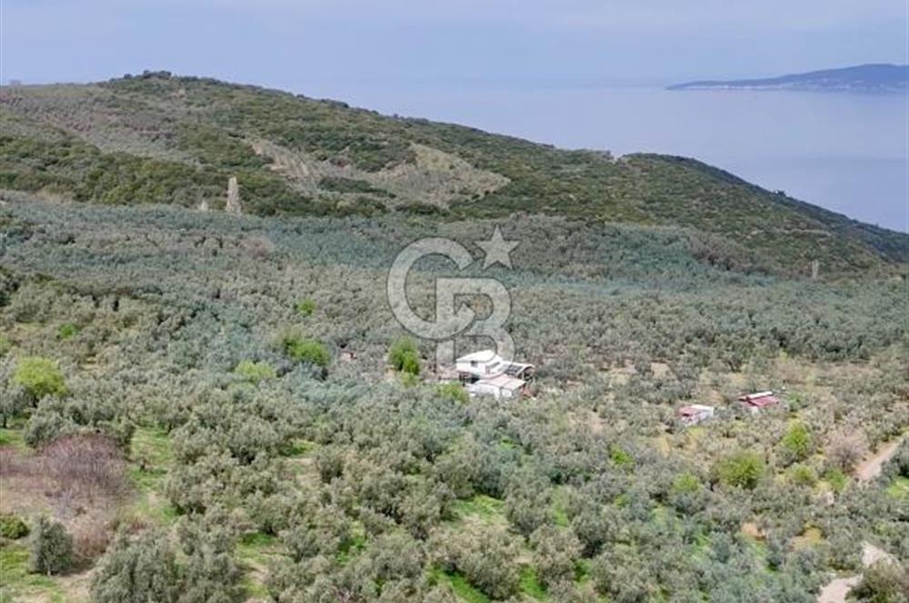 Mudanya Kumyaka'da Yola Cephe Arazi (Araç Takaslı)