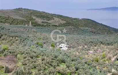 Mudanya Kumyaka'da Yola Cephe Arazi (Araç Takaslı)