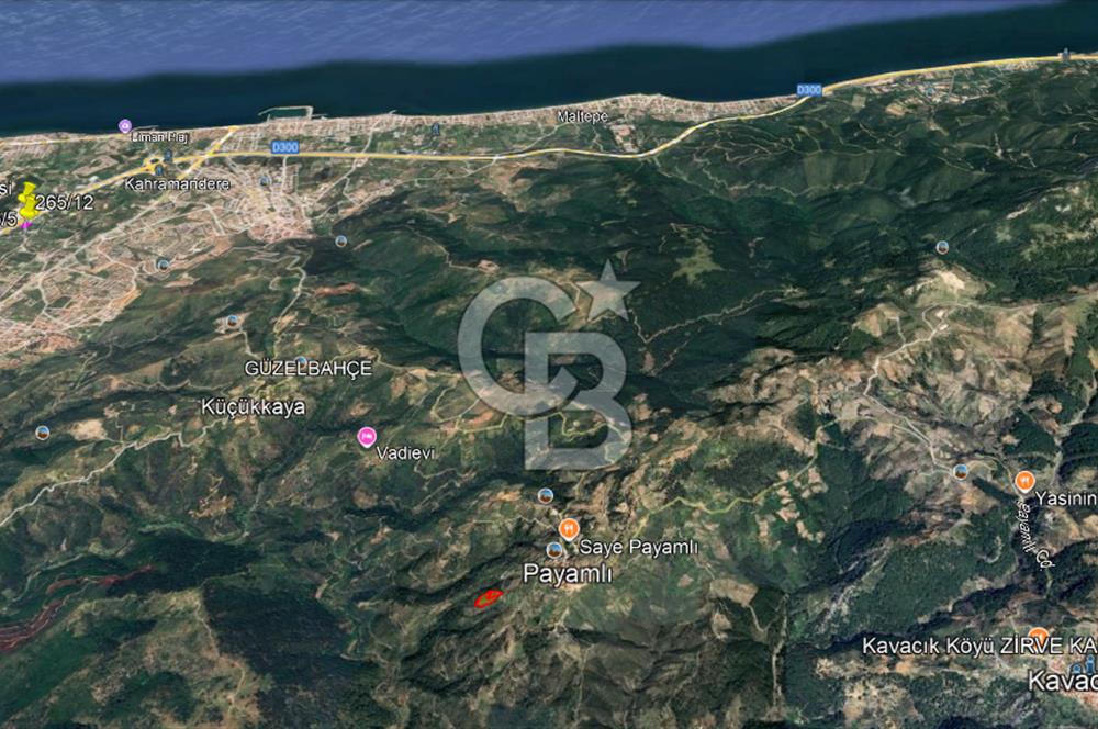 Güzelbahçe Payamlı Doğruca Yol Mevkii’nde 8133,90m² Satılık Bağ ve Zeytinlik