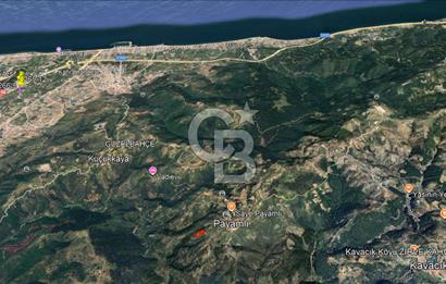 Güzelbahçe Payamlı Doğruca Yol Mevkii’nde 8133,90m² Satılık Bağ ve Zeytinlik