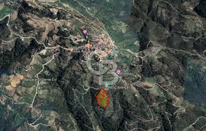 Güzelbahçe Payamlı Doğruca Yol Mevkii’nde 8133,90m² Satılık Bağ ve Zeytinlik