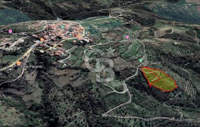 Güzelbahçe Payamlı Doğruca Yol Mevkii’nde 8133,90m² Satılık Bağ ve Zeytinlik