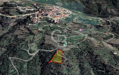 Güzelbahçe Payamlı Doğruca Yol Mevkii’nde 8133,90m² Satılık Bağ ve Zeytinlik