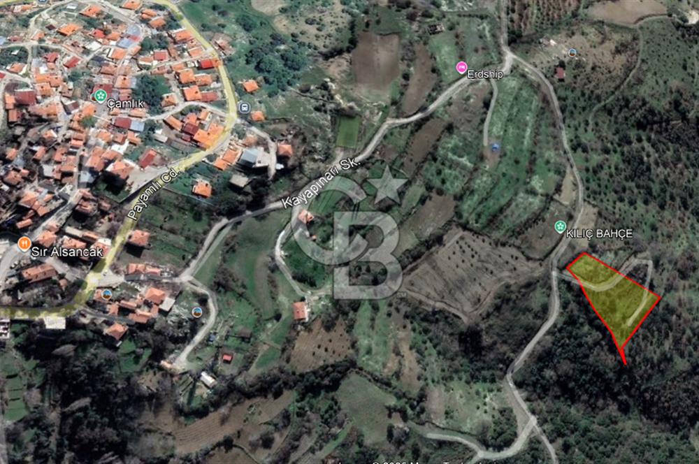 Güzelbahçe Payamlı Doğruca Yol Mevkii’nde 8133,90m² Satılık Bağ ve Zeytinlik