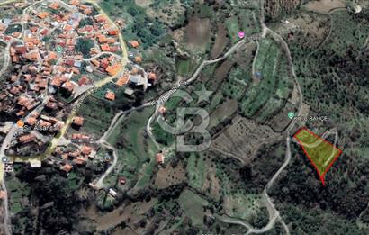 Güzelbahçe Payamlı Doğruca Yol Mevkii’nde 8133,90m² Satılık Bağ ve Zeytinlik