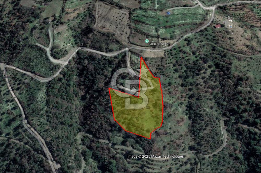 Güzelbahçe Payamlı Doğruca Yol Mevkii’nde 8133,90m² Satılık Bağ ve Zeytinlik