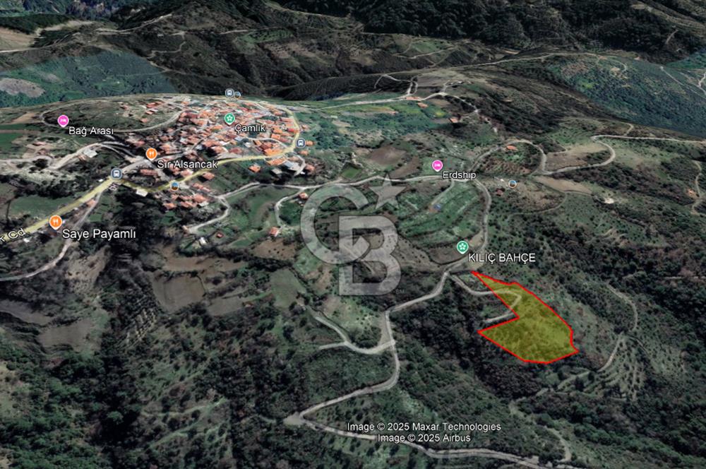 Güzelbahçe Payamlı Doğruca Yol Mevkii’nde 8133,90m² Satılık Bağ ve Zeytinlik