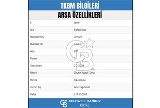 SEFERİHİSAR ORHANLIDA YOLA CEPHELİ 2.726 m² ZEYTİN AĞAÇLI TARLA - 4 - 298947