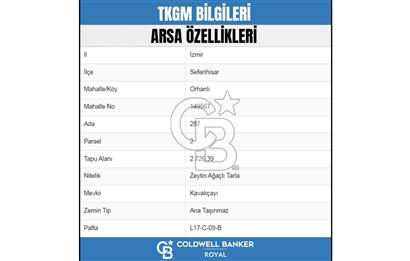 SEFERİHİSAR ORHANLIDA YOLA CEPHELİ 2.726 m² ZEYTİN AĞAÇLI TARLA