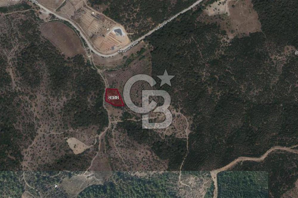 SEFERİHİSAR ORHANLIDA YOLA CEPHELİ 2.726 m² ZEYTİN AĞAÇLI TARLA