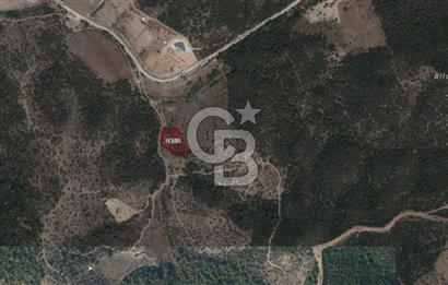 SEFERİHİSAR ORHANLIDA YOLA CEPHELİ 2.726 m² ZEYTİN AĞAÇLI TARLA