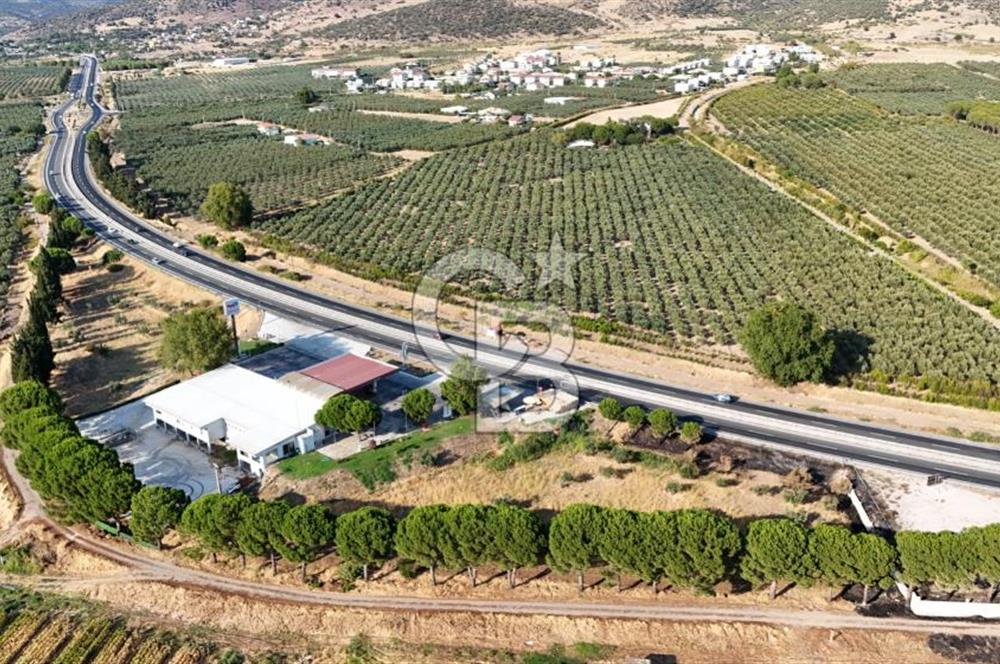 İzmir-Çanakkale Yolu Üzerinde Satılık 5564 M2 Arazi