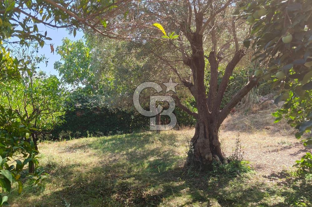Heybeliada'da Eşsiz Deniz Manzaralı Konaklamalı İmarlı Arsa 