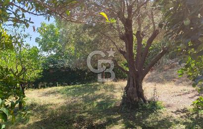 Heybeliada'da Eşsiz Deniz Manzaralı Konaklamalı İmarlı Arsa 