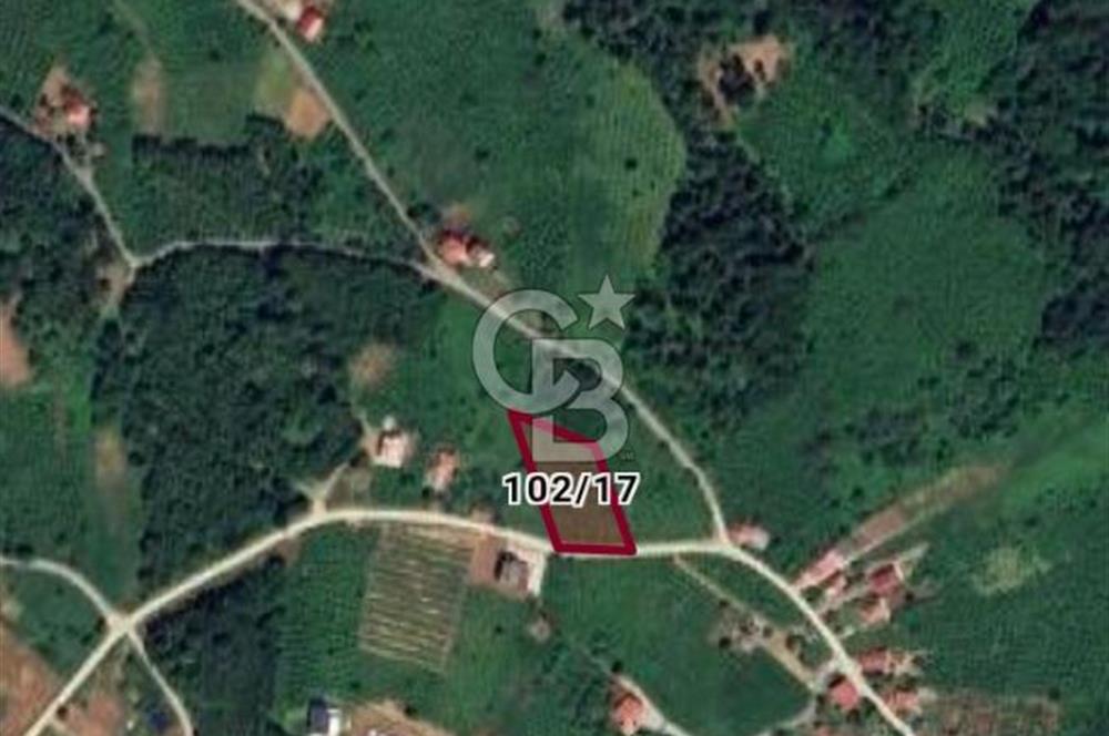 Atakum, Kayagüney, Ev Yapılabilir Satılık Tarla